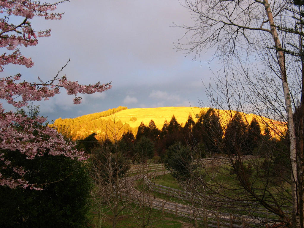 Whakaipo Lodge Taupo Luaran gambar