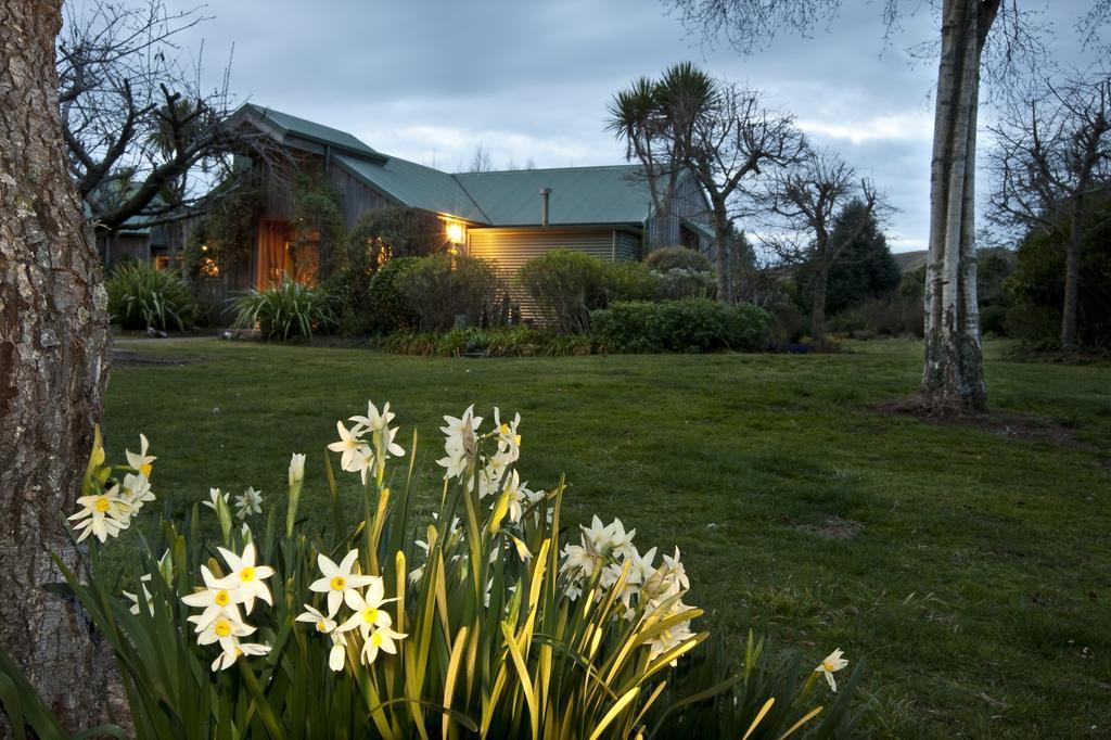 Whakaipo Lodge Taupo Luaran gambar